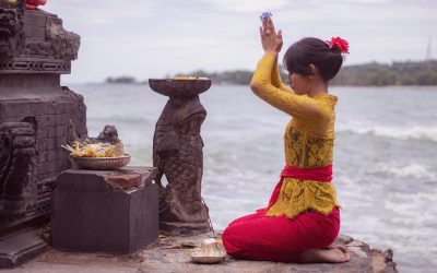 Bea Cukai Komodo: Apa yang Berubah?