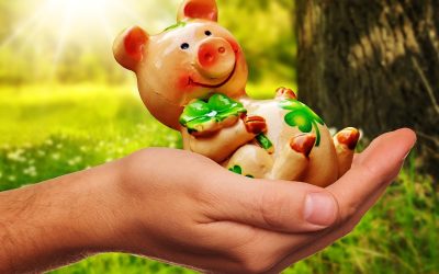 Analisis Upaadate Bea Cukai Komodo dan Industry Pariwisata