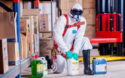 Kolaborasi Antar Instansi dalam Menyukseskan Teknis Bea Cukai Komodo